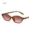 Sexy Small Oval Women Sunglasses  New Fashion Leopard Brown Sun Glasses Female Retro Colorful Shade Eyeglass luxury designer