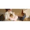 2026 New Arrival Small Dog Bed Washable,Round Cat Beds For Indoor Cats Camel Puppies and kittensNon‑slip design at the bottom