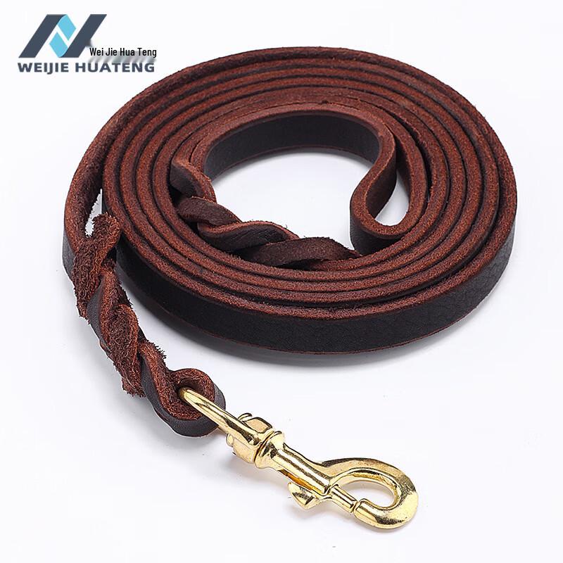 Leather Dog Training Leash