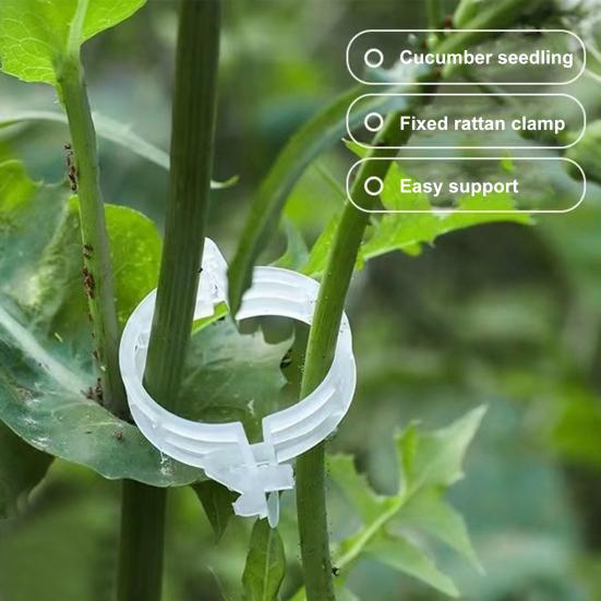 100/200/300 шт. Пластиковые зажимы для растений, многоразовые зажимы для томатной решетки, для вьющихся растений, винограда, огурцов, для использования в помещении и на открытом воздухе