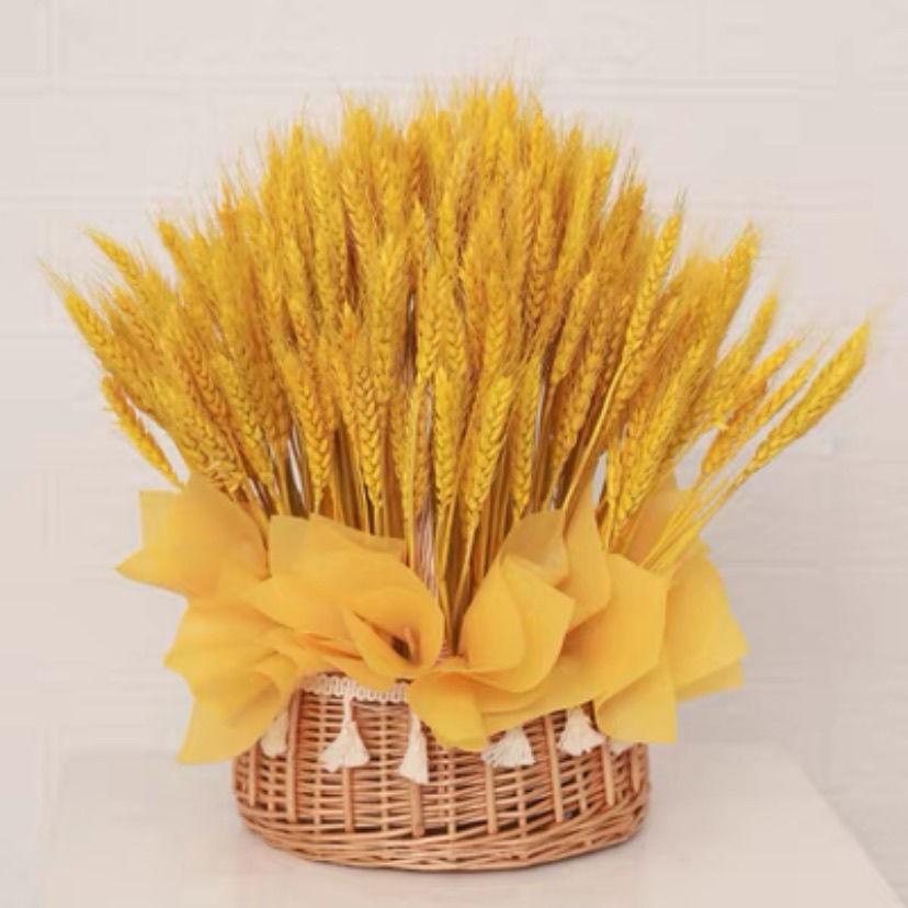 Golden Barley Dried Flower Display: Pastoral Décor & Performance Props
