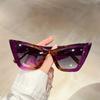Oversized Cat Eye Fashion Sunglasses For Women Men Gradient Jelly Frame Glasses For Summer Beach Parties