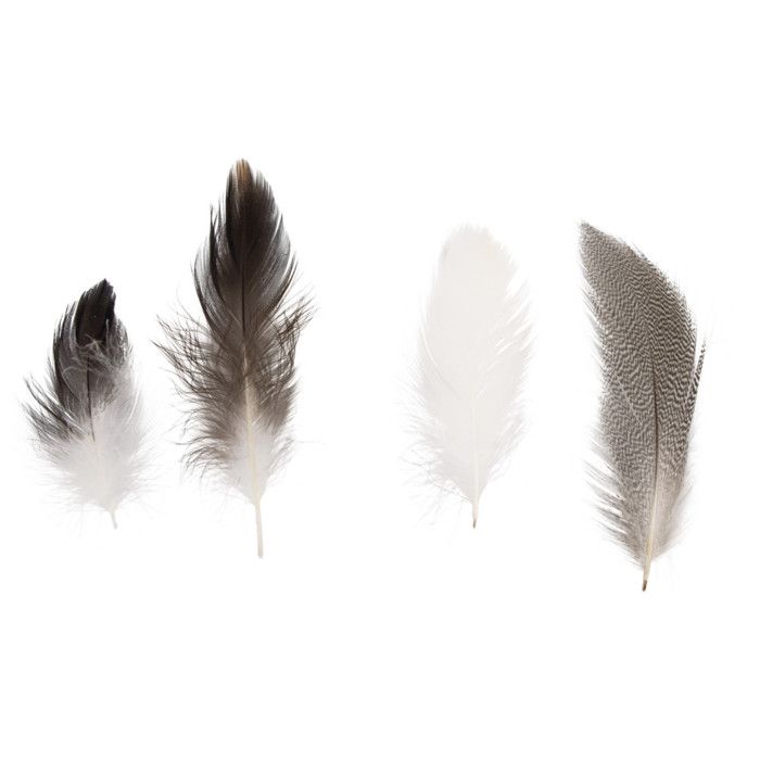 Mélange de plumes, Pepita, 7 - 9 cm, 10 g