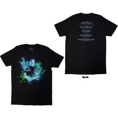 Футболка унисекс для взрослых с принтом Luck & Strange Rome на спине Дэвида Гилмора