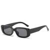 Retro Oval Frame Sunglasses - Trendy European & American Design, Fashionable Small Frame, Versatile Style, Model 9071.