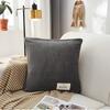 Cosy Home Velvet Pillowcase Plain Car Couch Soft Cushion Cover Simple Hued Office Simple Pillowcase Decorate Durable Material