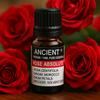 Moroccan Rose Absolute Essential Oil 10 Ml