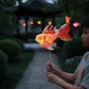 Portable Luminous Fish Light Bright LED Handheld Koi Ornament  Photoshoot Decor