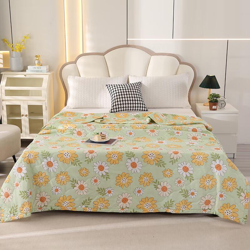 Muxinzi Skin-Friendly Velvet Summer Quilt