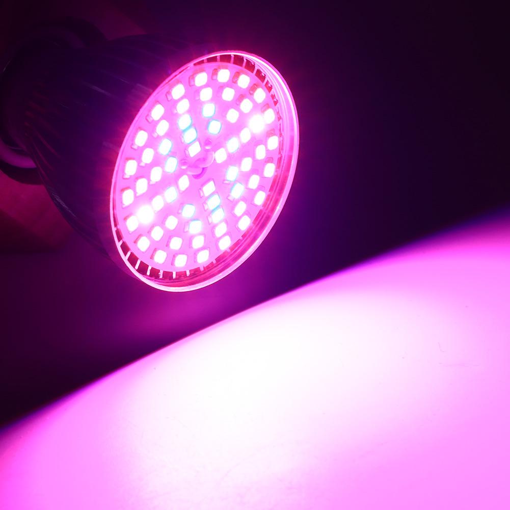 60 Вт 60LED полный спектр лампа для выращивания растений лампа для гидропонного выращивания цветов