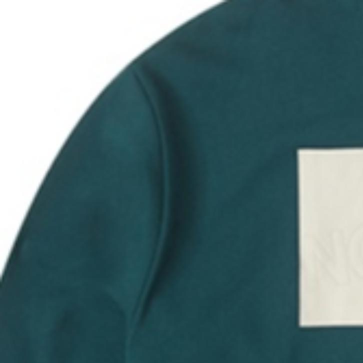THE NORTH FACE Urban Exploration Sweatshirts Men's Blue Crew Neck Moderate Regular NF0A7W8E-D7V