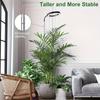 Adjustable Full-Spectrum Plant Grow Light: Perfect for Indoor Plants - USB Powered