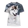 New Summer Alaskan Malamute 3d Print T-Shirt Men Women Dog Animal O-Neck Short Sleeve Oversized Harajuku Tees Tops Kid Clothing