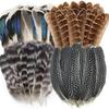 40/48Pcs Assorted Natural Feathers Bulk 6 Styles Peacock Feathers Creative Pheasant Plumage  Wedding