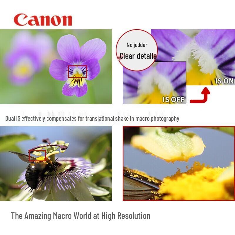 Canon EF 100mm f/2.8L IS USM Macro Lens