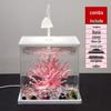Mini Ultra-White Glass Fish Tank with Rose Light - Transparent Betta Tropical Fish Eco-Tank