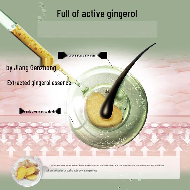 Schwarzkopf Ginger Essence Hair Conditioner