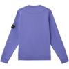 STONE ISLAND Однотонный пуловер с длинным рукавом и круглым вырезом, мужской свитшот, фиолетовый K1S1561000-44S0051-V0047