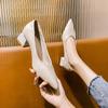 Soft Leather Single Shoes Women's Thick Heel Summer Nude Pointed Head Light Mouth Middle Heel Temperament Commuter Shoes