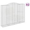 VidaXL Paniers à gabions arqués 2 pcs 300x50x220/240 cm fer galvanisé, gabion, cage de gabion, panier de mur de gabion, mur 3146809