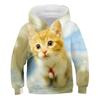 Детская толстовка с капюшоном Cat Casual с длинным рукавом Active Cotton 7-13 лет осень многоцветная черная белая