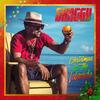 LP Record SHAGGY - Christmas In The Islands 4050538702583 BMG 2021 Europe Reggae, Ska & Dub