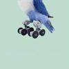 Peony Parrot Toys Training Props Play Tiger Roller Skates Xuanfeng Skates Rollerblades Bird Skill Toys