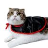 Cat Dog Funny Vampire Cosplay Costume Design Soft Comfortable Cloak Costume Accessories Dress Up Accessories