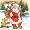 DIY 5D алмазная живопись Санта-Клаус мозаика Алмазная вышивка крестиком мультфильм Рождественский подарок ручная работа настенное искусство домашний декор