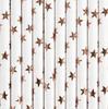 Set: Cups, Plates, Straws, Rose Gold