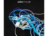 [CD+DVD] Love no Genkei Ограниченное издание первого выпуска AJICO VIZL-2298 J-Pop EP НОВЫЙ