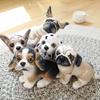 Simulation Dog Bulldog Doll Plush Toy Chihuahua Migru Doll Living Room Ornament Children's Rag Doll