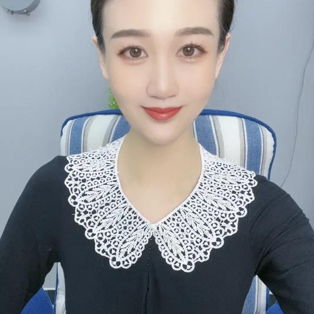 [Bead Lace Fake Collar] Korean Version Of Lace Women'S Hollow Kapok Silk Shawl Summer Sun Protection Fake Collar Versatile