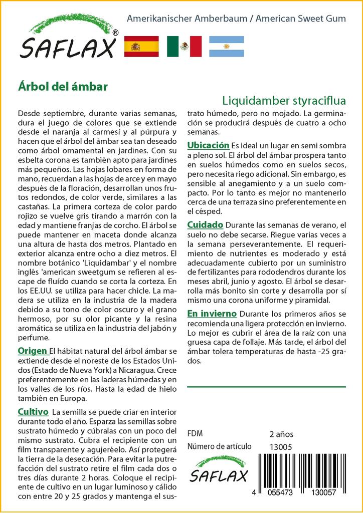 SAFLAX American Sweet Gum - 100 семян - Liquidamber styraciflua