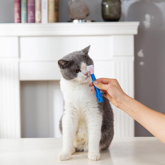 Щетка для удаления пятен от слез домашних животных Нежная расческа для удаления пятен от глаз кошек и собак