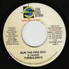 7inch Record TURBULENCE - Bun The Fire Red NONE Steven Stanley  2006 Jamaica Reggae, Ska & Dub Used
