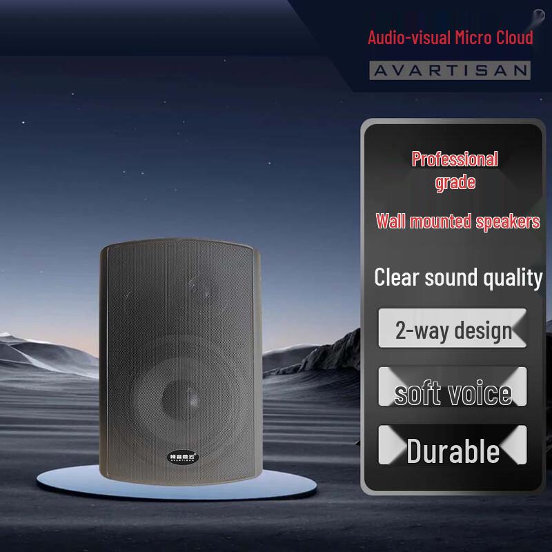 Vison Micro Cloud Indoor Conference Wall Speaker