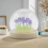 Floral Glow Garden Dome – 20 Tulips – LED USB