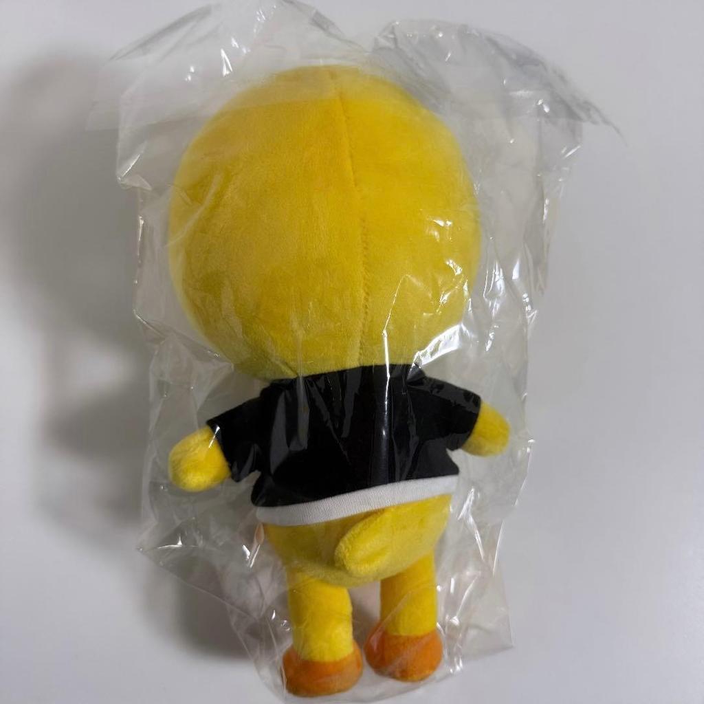 [USED] Stray Kids Felix Plush Toy BbokAri Pogari