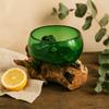Переработанная миска из стекла пивной бутылки на дереве