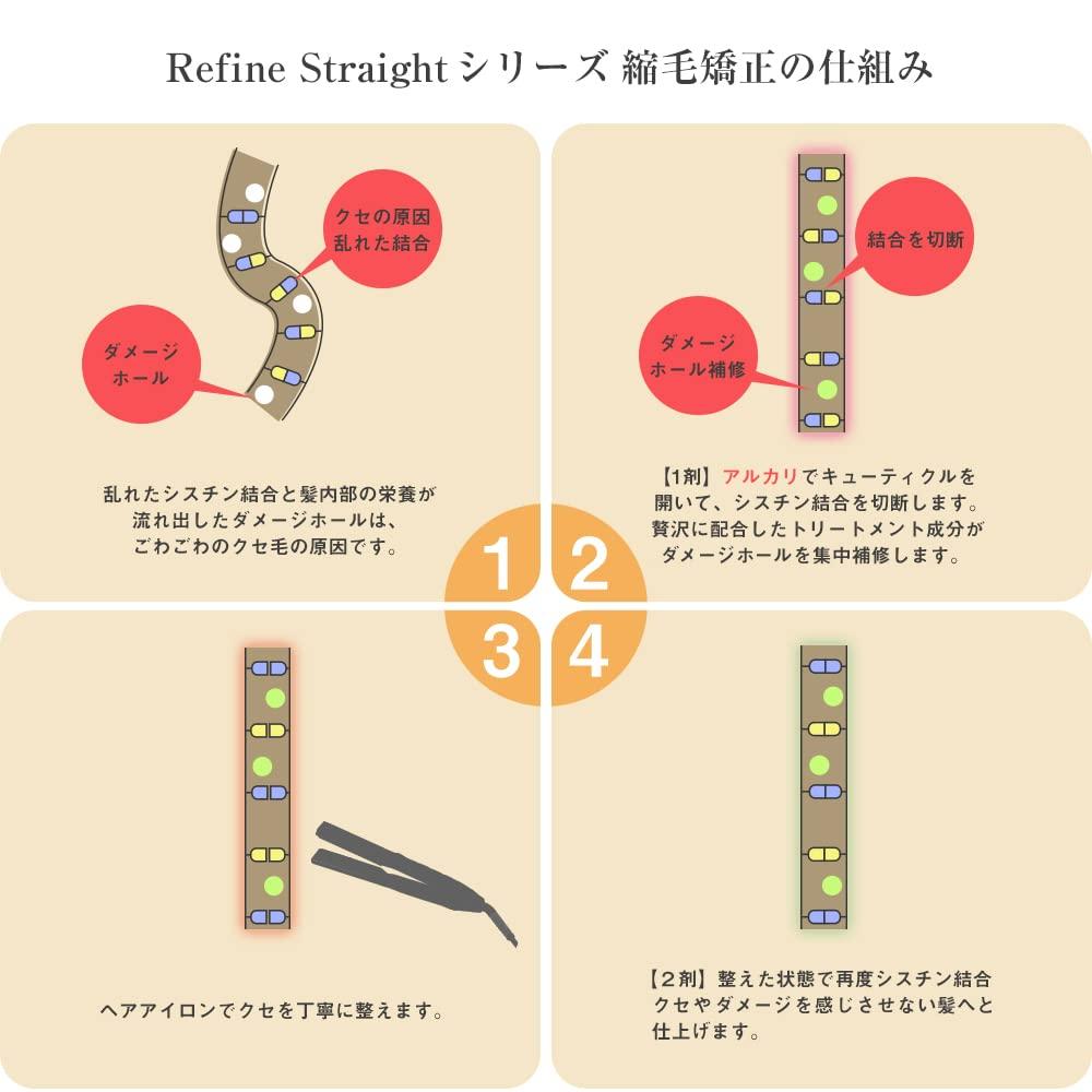 Hair Straightening Starter Set Basic Hair Straightening and Hair Color and Perm Professional Salon Use Starter Set and Agent Special A'sstyle Set,