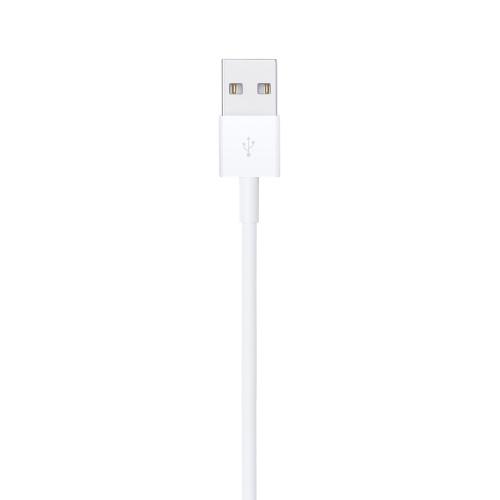 Apple Lightning To Usb-A Cable, 1 , White