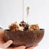 Кухонная Посуда Модная Кокосовая Миска Набор Ложек Креативная Кокосовая Скорлупа Фруктовый Салат Лапша Рисовая Миска Деревянная Миска Посуда LS