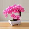 Simulation Fake Potted Bonsai Tree Artificial Plant Desk Ornament Home Decor