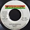7-дюймовая пластинка SIZZLA Babylon Homework NONE XTerminator 1998 Ямайка Регги Ска Даб Б/у
