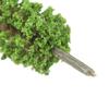 150pcs Mini Architectural Plastic Green Trees Scale Models Garden Tree Toys _GG