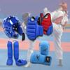 4 Pieces Karate Equipment Including Body Protective Vest, Padded Boxing Gloves, Helmet for