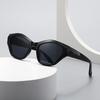 Specially Designed For Angular Cat-Eye Sunglasses Modern Retro Temples Sunglasses Lh179