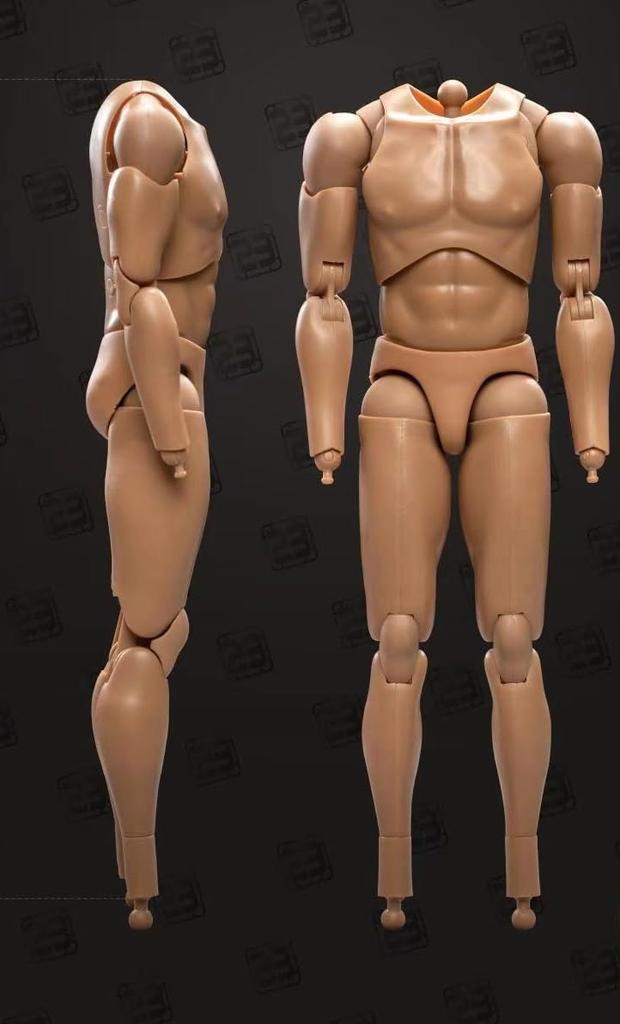 Toy Hobby Action Figure Compatible with COOMODEL Isoprime Body 23TOYS Male Body Action Body Limb [TOYBARJAPAN] 1/6 BD001/02/03/04/05/06 (excluding
