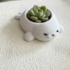 Home Decor Seal Flowerpot Storage Box Desktop Ornaments Potted Plant Containers  Indoor